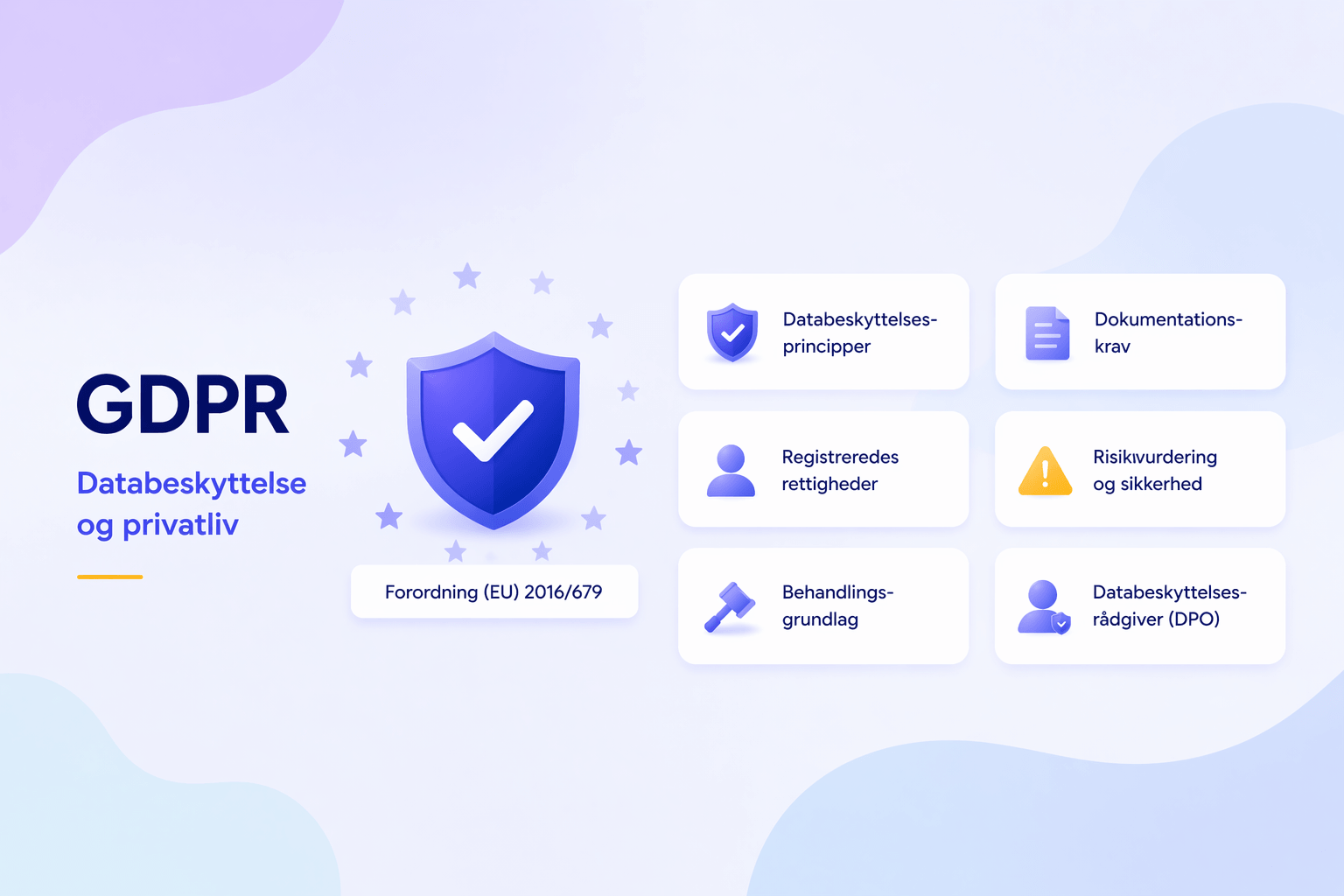 GDPR infografik med de vigtigste krav og principper