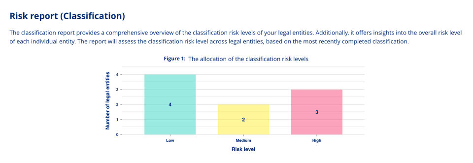 risk classification report