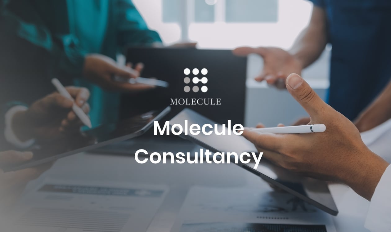 Molecule Consultancy