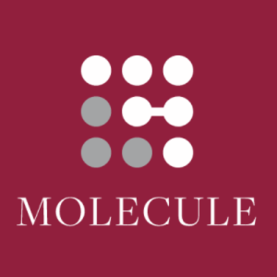 Molecule Consultancy